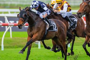 MARVELLOUS MARACANA STRIKES GROUP 3 STUNNER